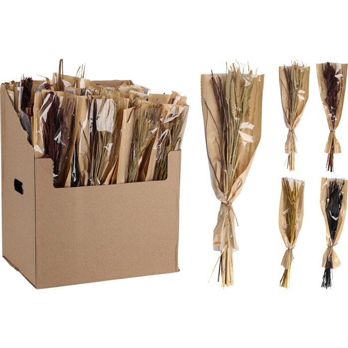 branches-natural-dried-4-assorted-d22700720
