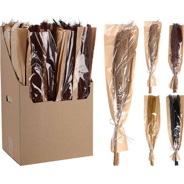 branches-natural-dried-4-assorted-d22700730