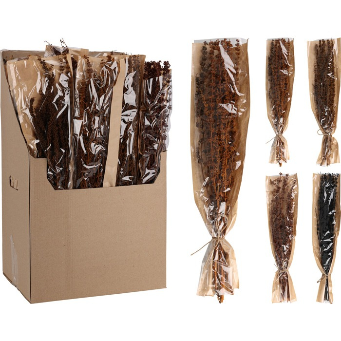 branches-natural-dried-4-assorted-d22700750