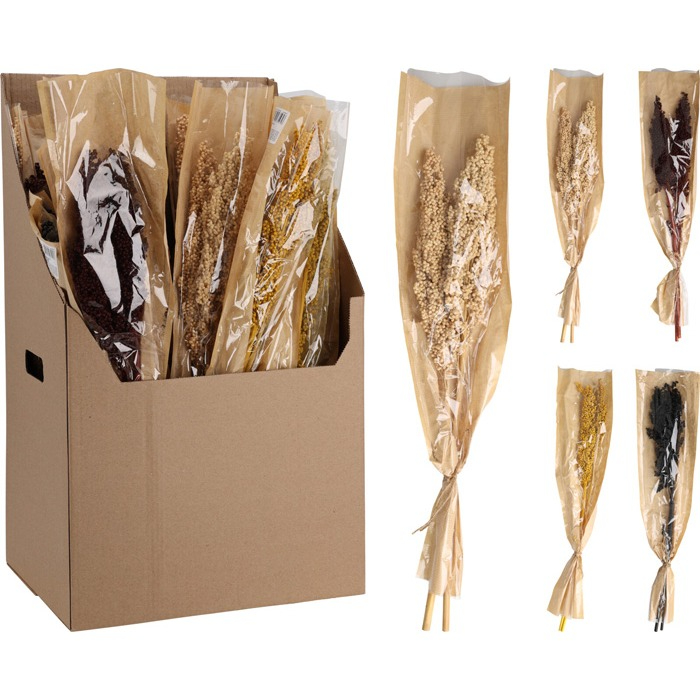 branches-natural-dried-4-assorted-d22700760