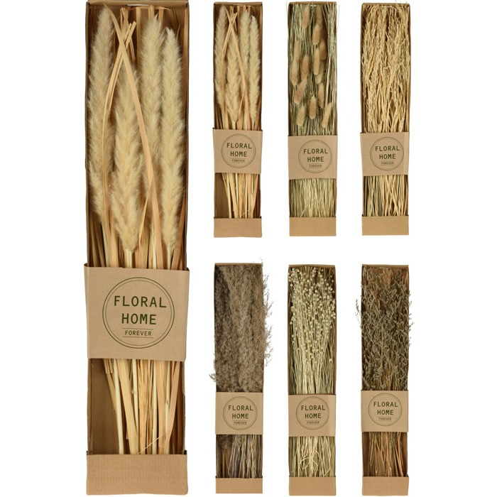 branches-natural-dried-4-assorted-d22701110