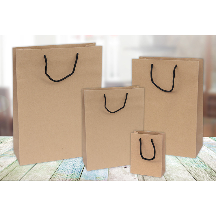 xlrg-bag-x-10-kraft-30x12x40