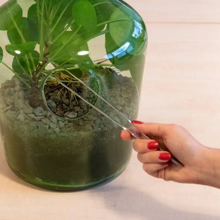 terrarium-tweezer