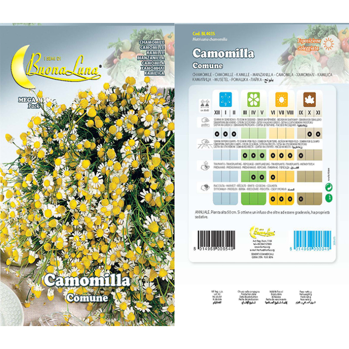 camomilla-comune-seeds