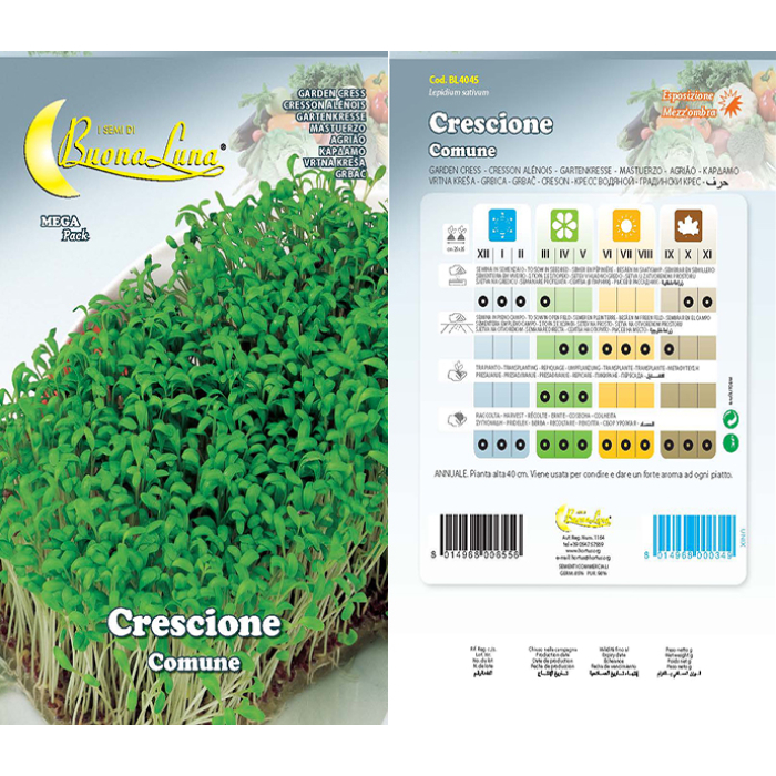 crescione-comune-seeds