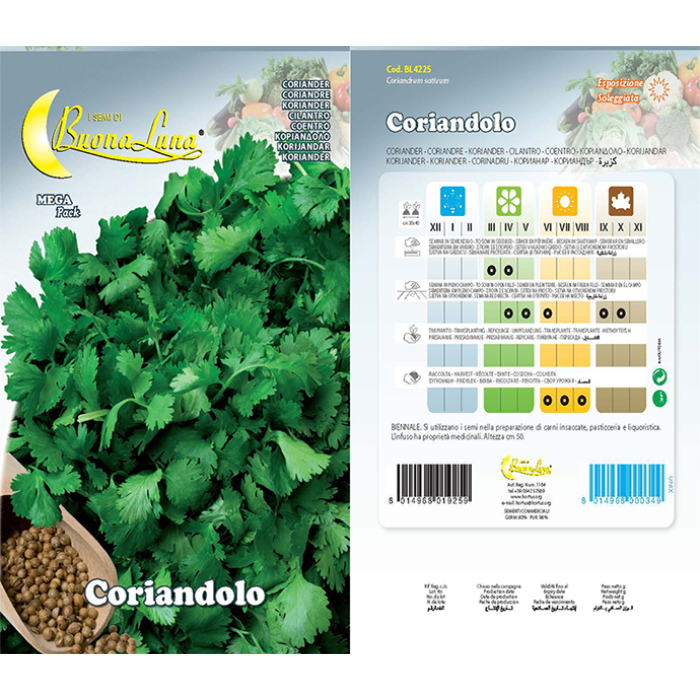 coriandolo-seeds