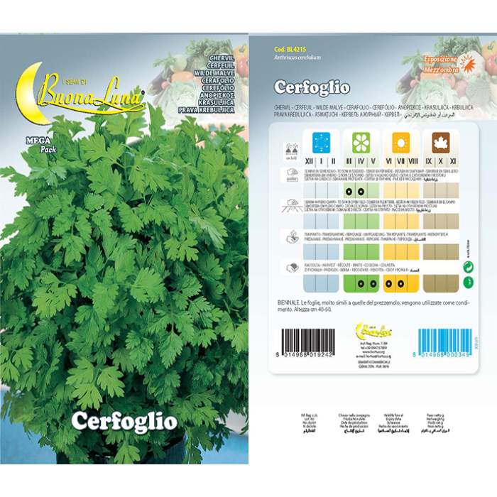 cerfoglio-seeds