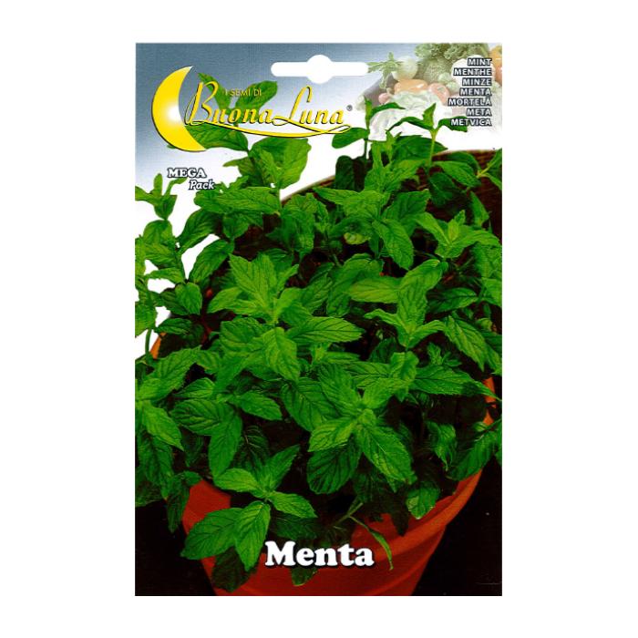 menta-seeds-4085