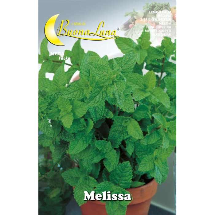 melissa-seeds