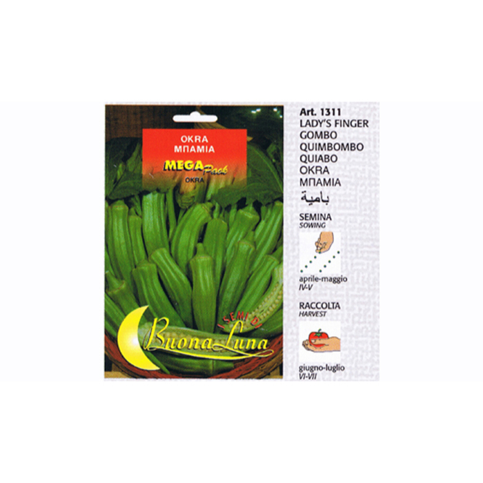 okra-seeds