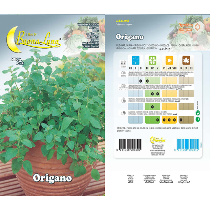 origano-seeds