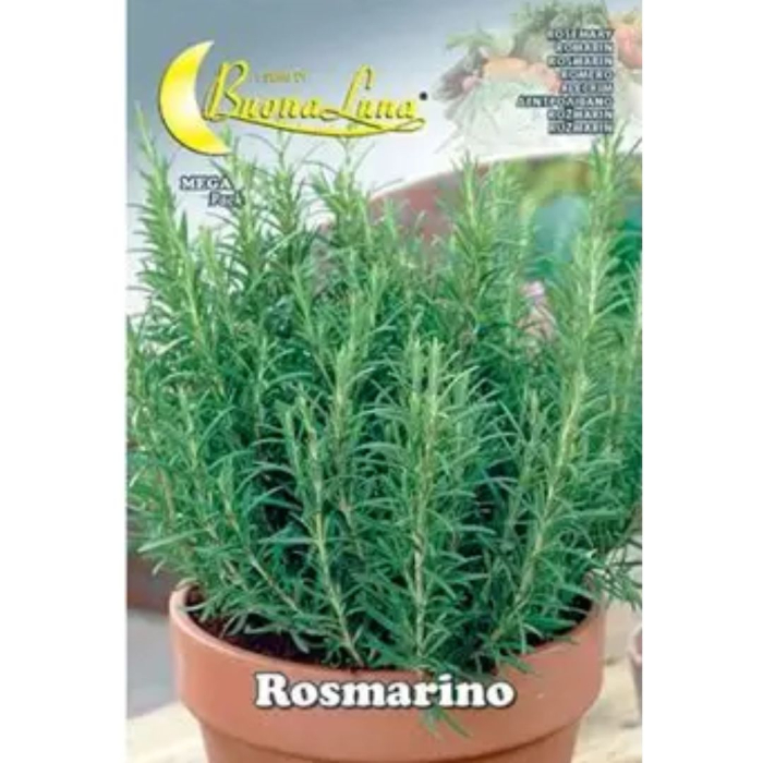 rosmarino-seeds