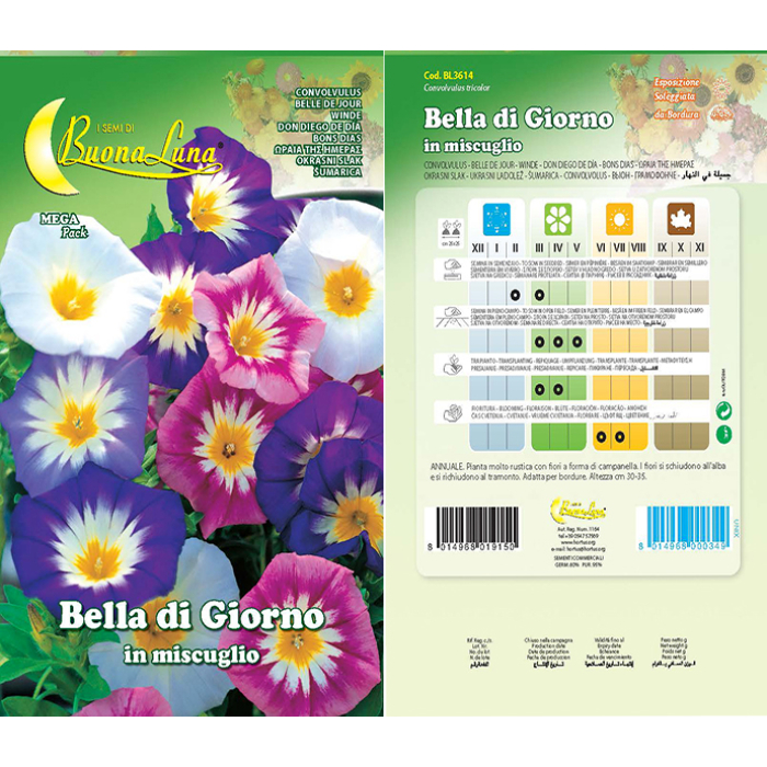 bella-di-giorno-in-miscuglio