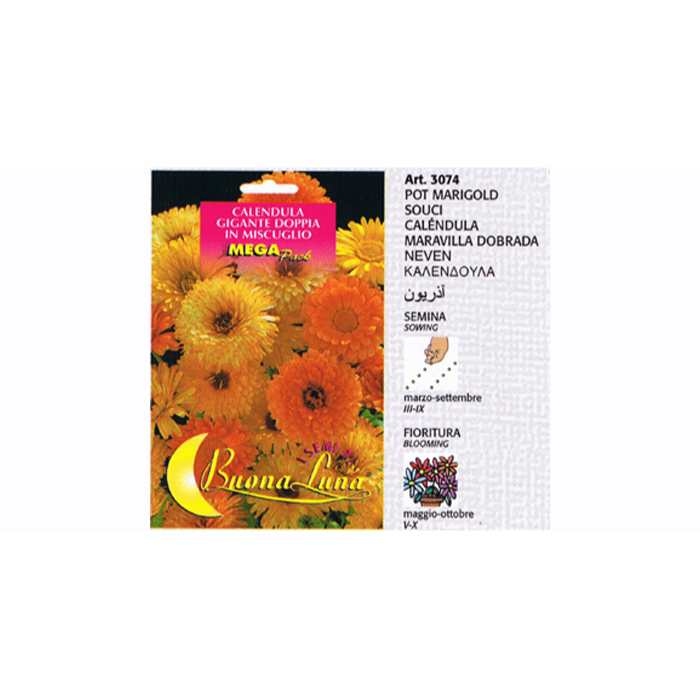 marigold-pot-seeds