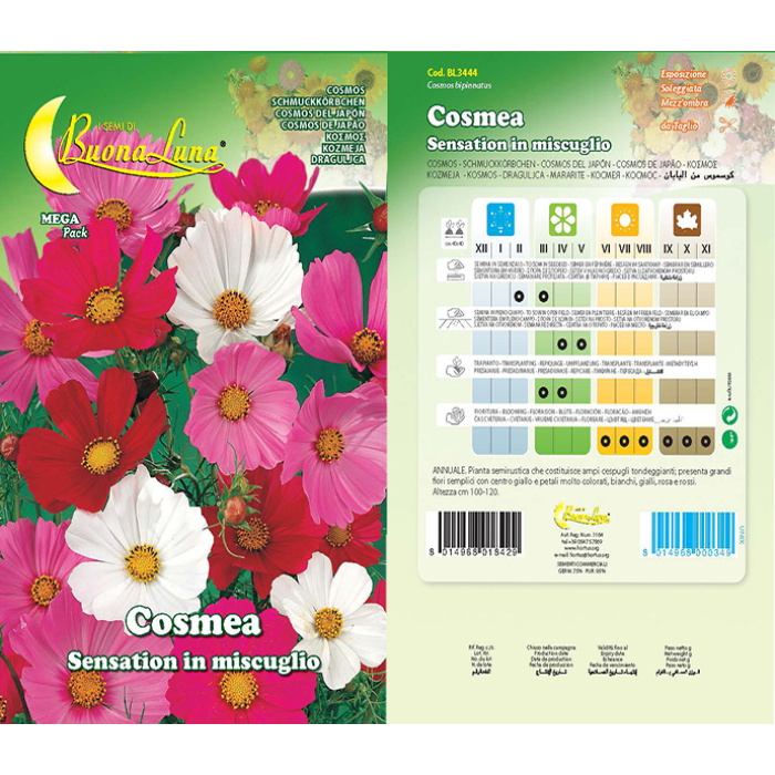 cosmea-sensation-in-mix