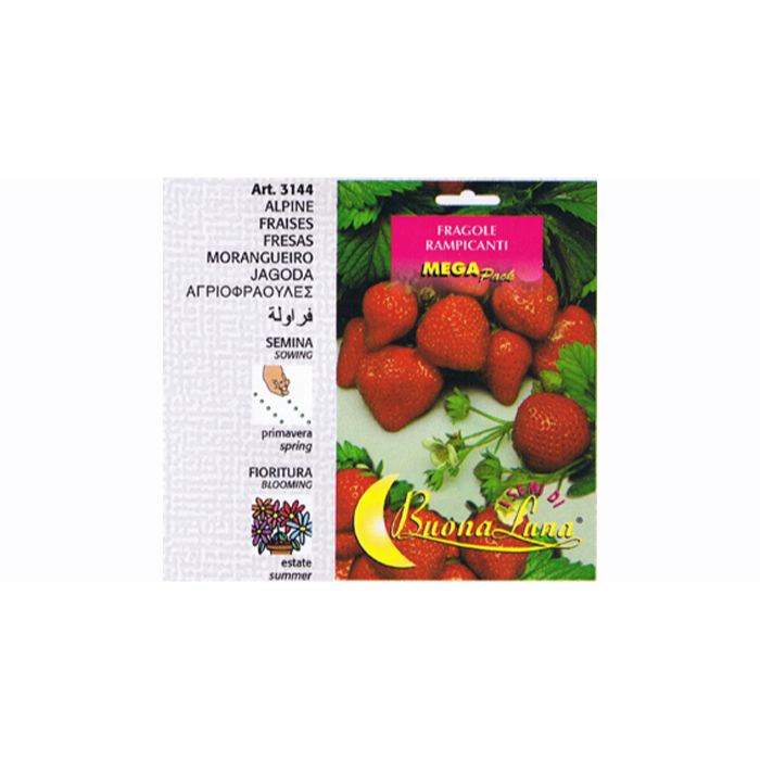 rampicant-strawberry-seeds