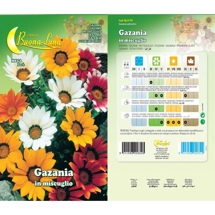 gazania-mix-3174