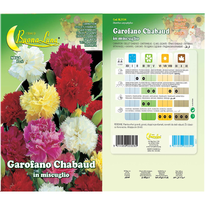 garofano-chabaud-doppio-mix