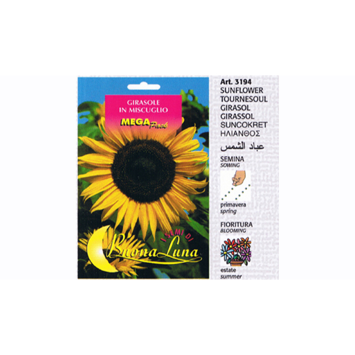 giant-sunflower-seeds-30-seeds