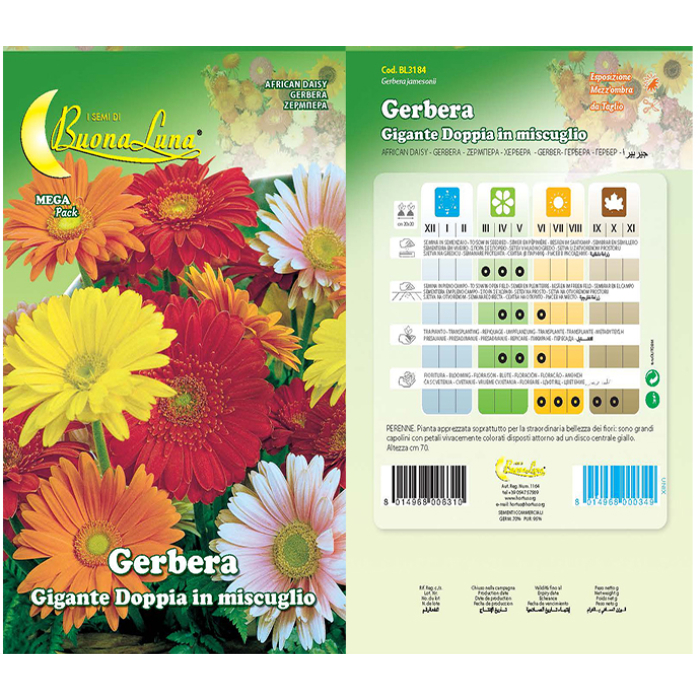 gerbera-gigante-doppia-mix