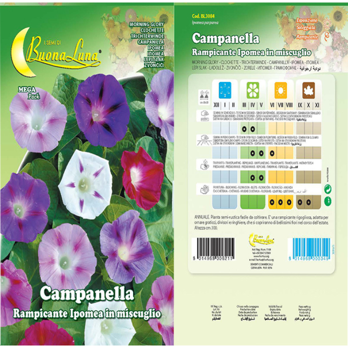 campanella-rampicante-ipomea-mix