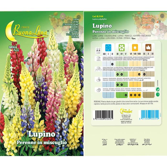 lupino-perenne-in-mix-3504