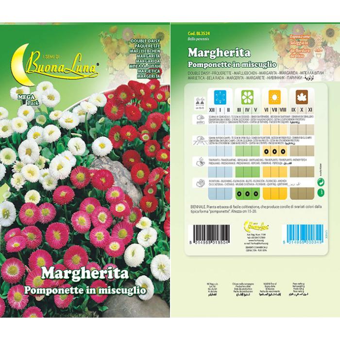 margherita-pomponette-in-mix-3524
