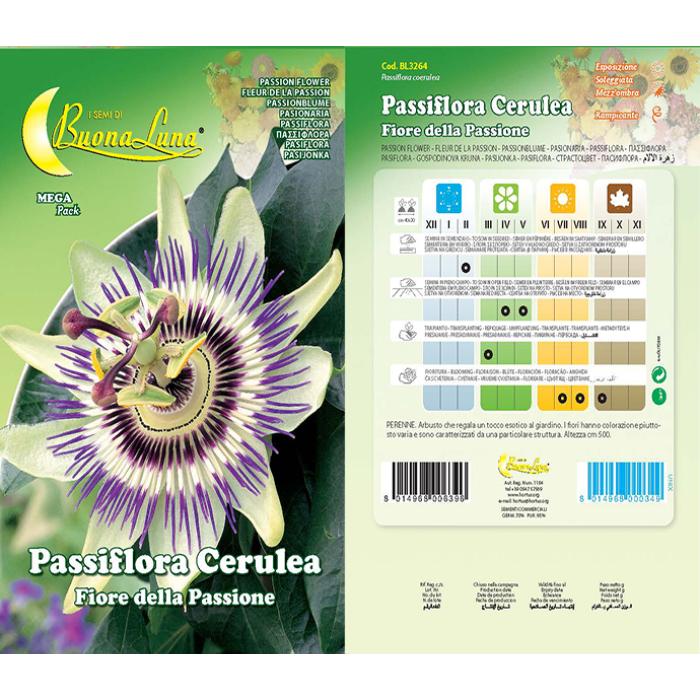 passiflora-cerulea-3264