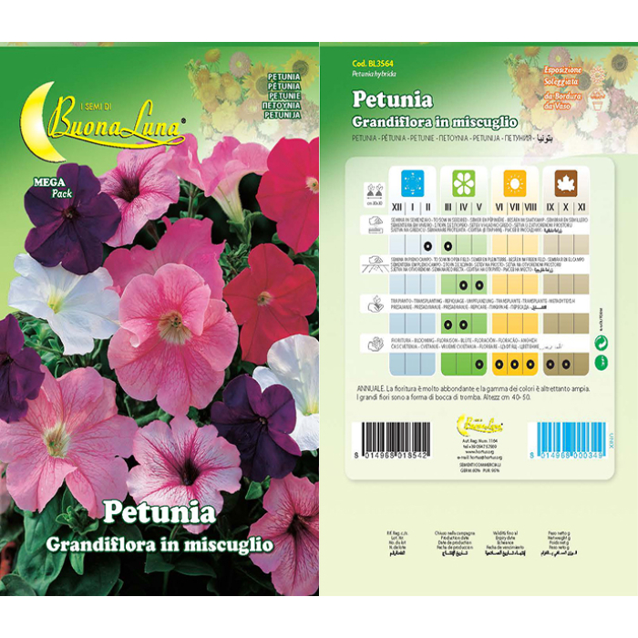petunia-grandiflora-mix