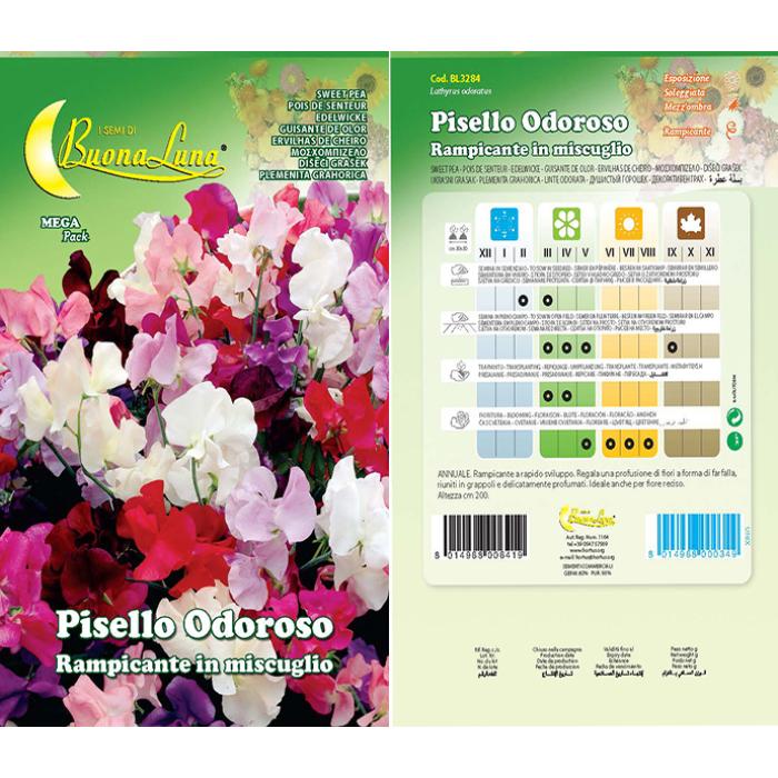 pisello-odoroso-rampicante-mix-3284