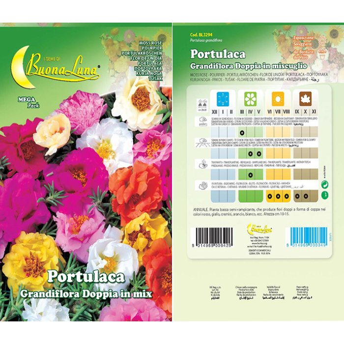 portulaca-grandiflora-doppia-mix
