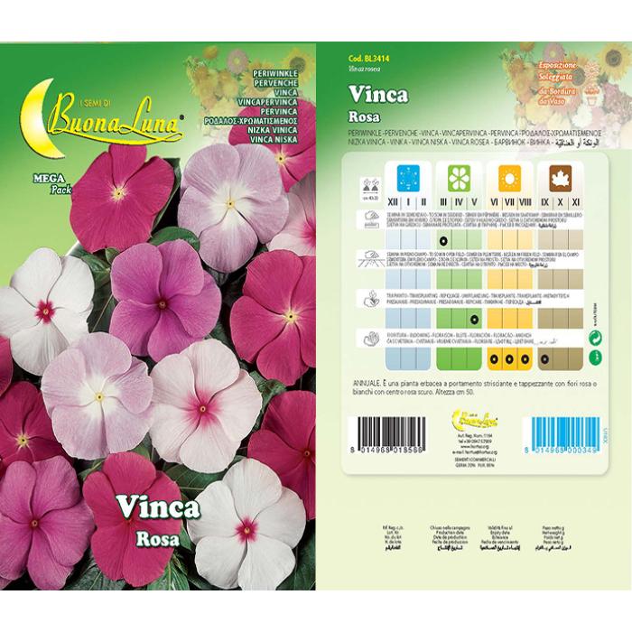 vinca-rosa-3414