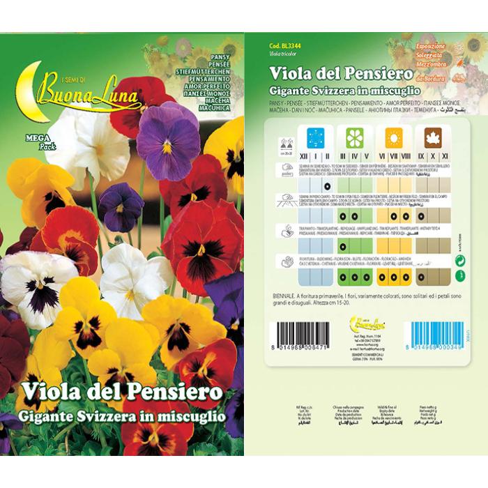 viola-del-pensiero-gigante-svizzera-mix-3344