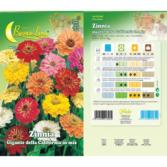 zinnia-gigante-della-california-mix-3604