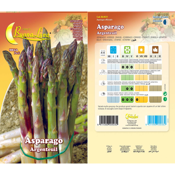 asparago-precoce-d-argentuil