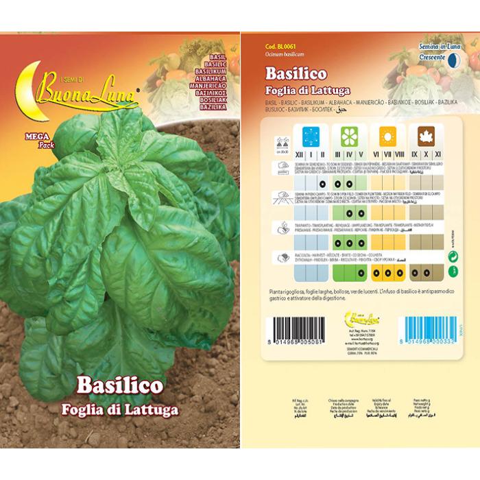 basilico-foglia-di-lattuga-0061