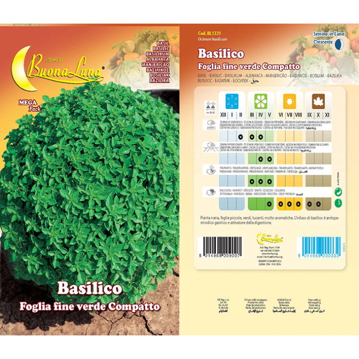 basilico-f-fine-verde-compatto