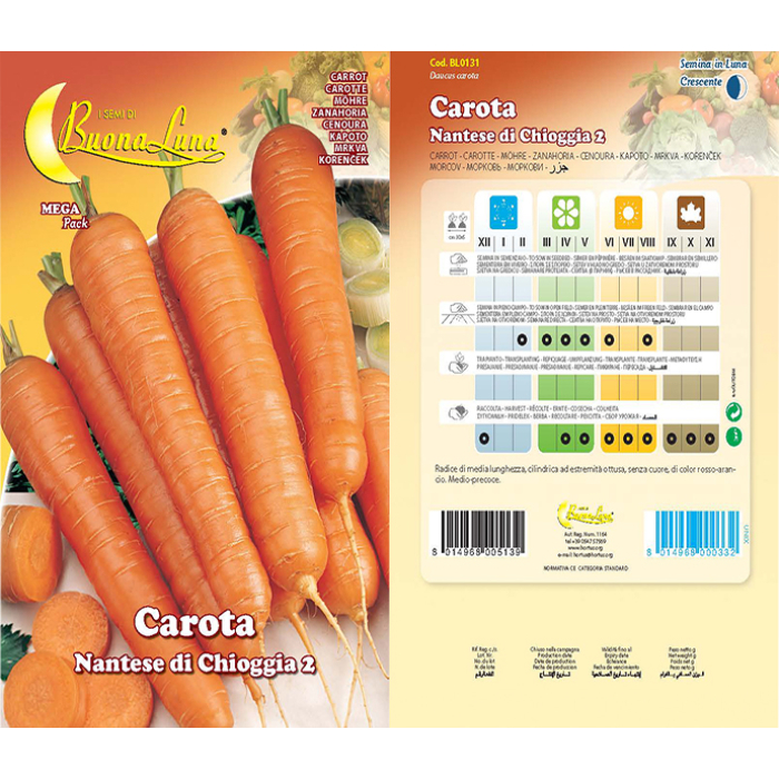 carota-nantese-di-chioggia