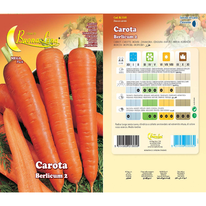 carota-berlicum-1501