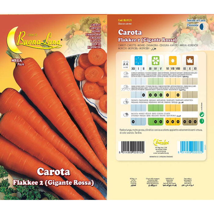 carota-flakkee-o-gigante-rossa