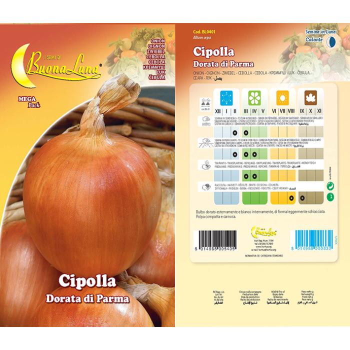 cipolla-dorata-di-parma-0401