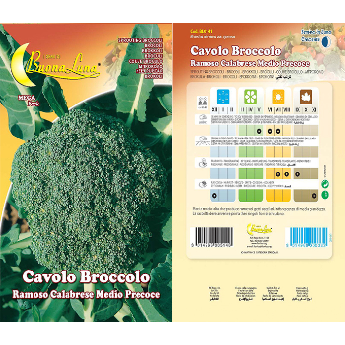 cavolo-broccolo-calabrese-m-precoce