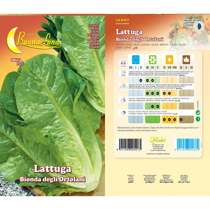 lattuga-bionda-degli-ortolani