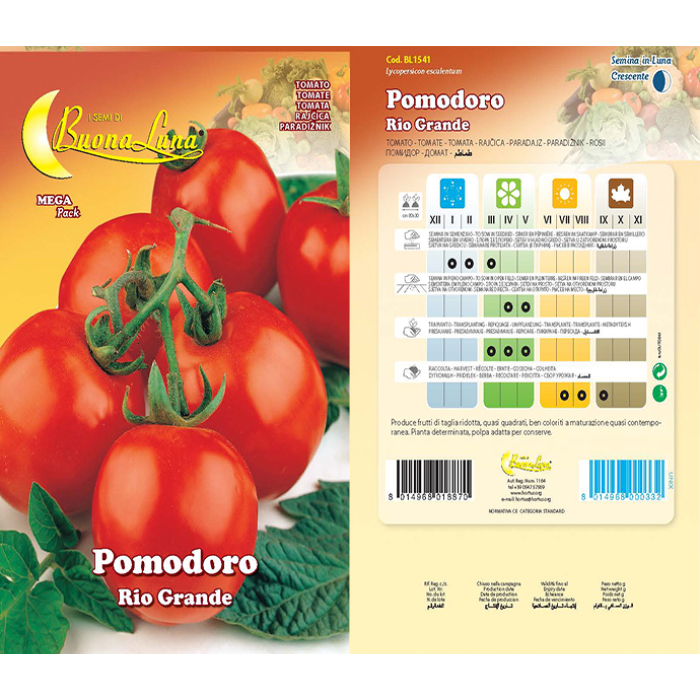 pomodoro-rio-grande