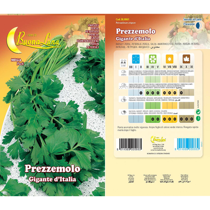 prezzemolo-gigante-italia