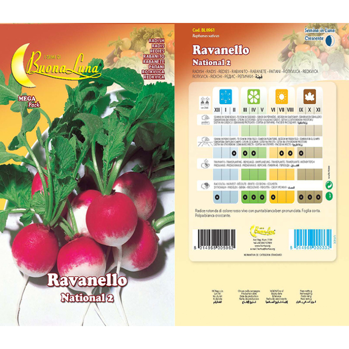 ravanello-national-2