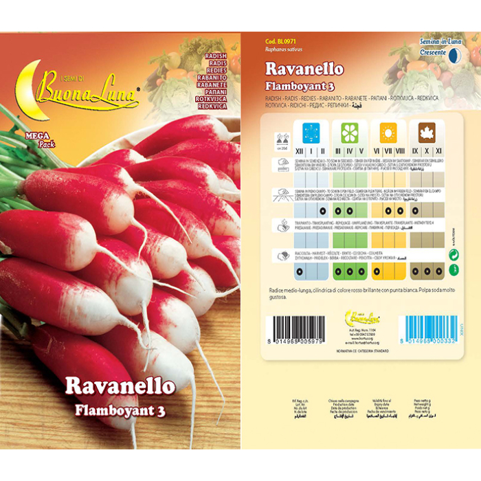 ravanello-flamboyant-3