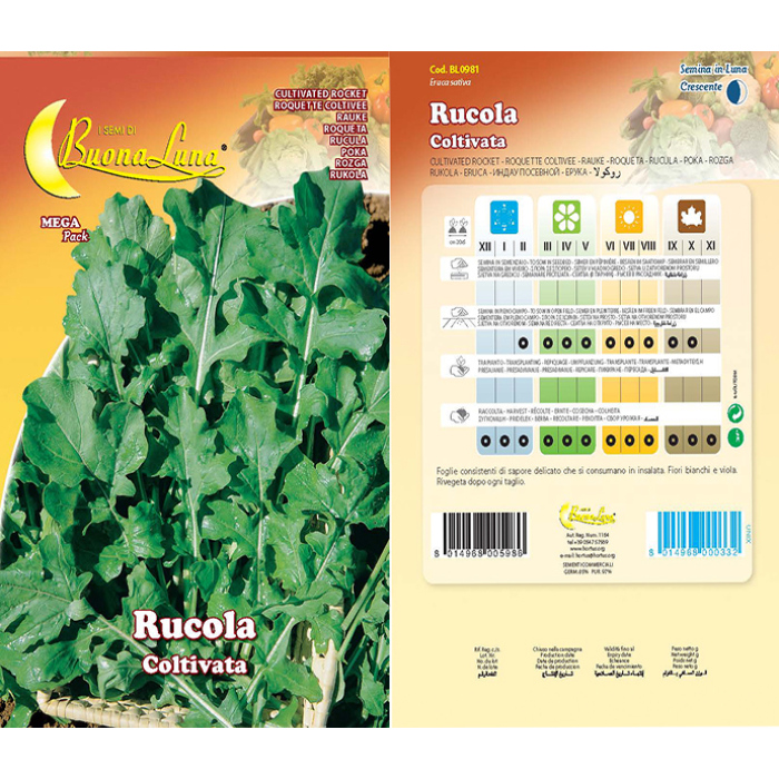 rucola-coltivata