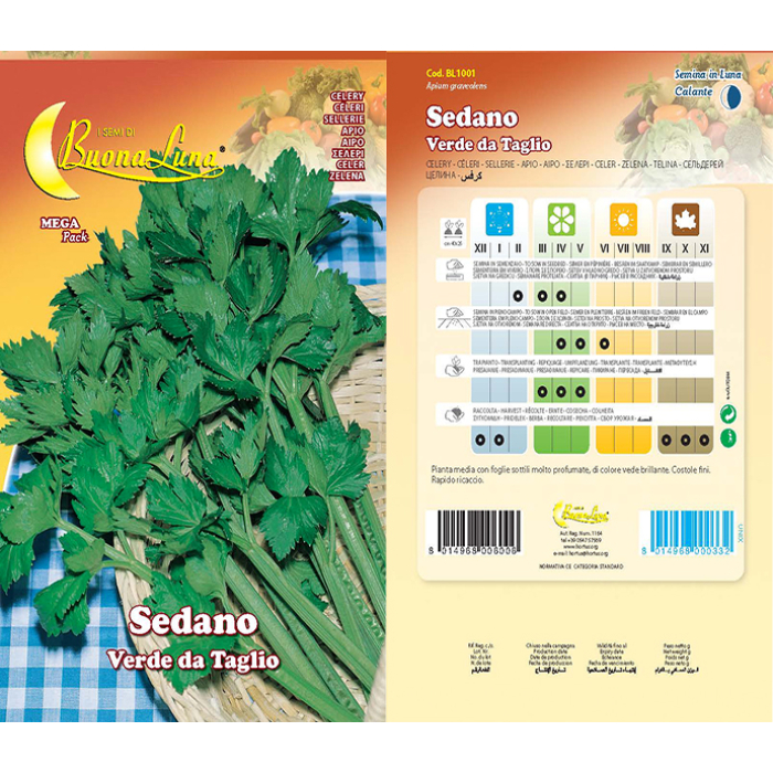 sedano-verde-da-taglio