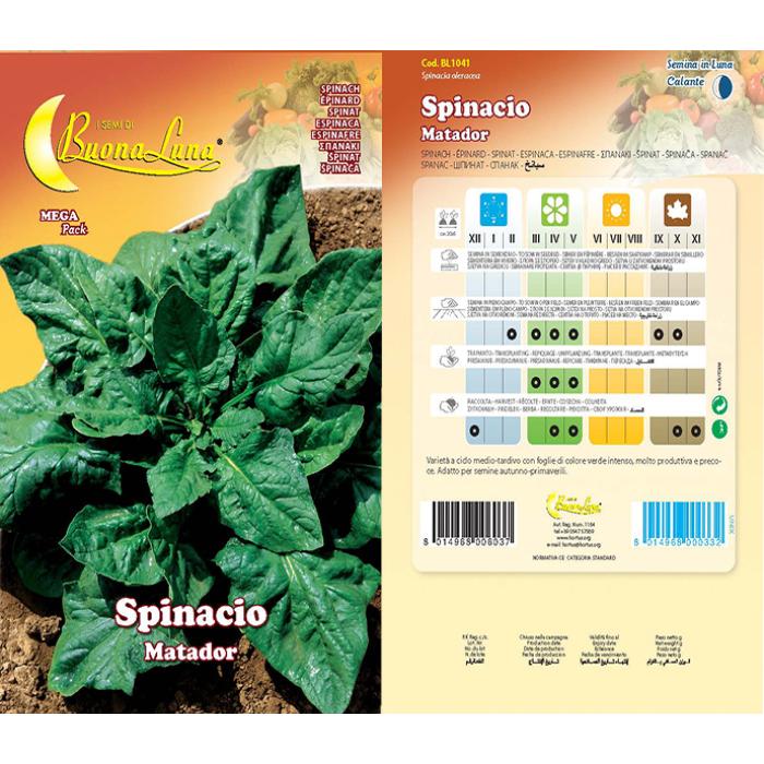 spinacio-matador-1041